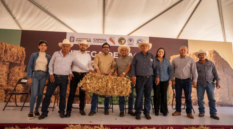 Entrega apoyos